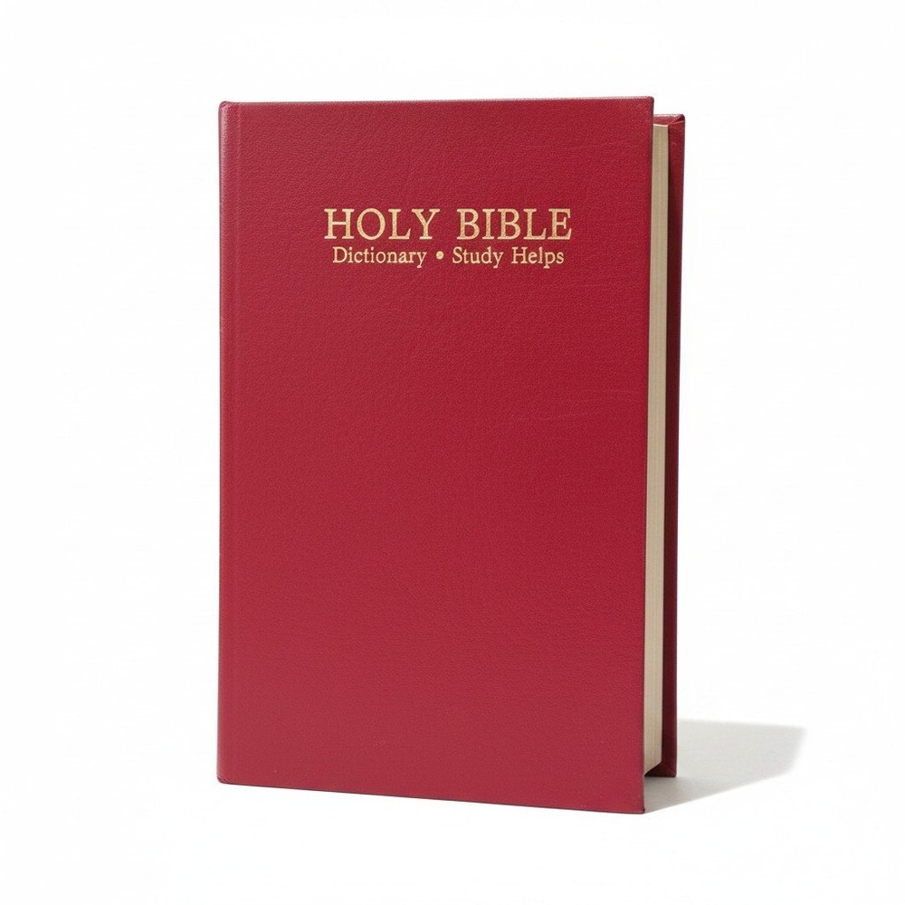 World Bible Publishers KJV Holy Bible Red Words of Christ Dictionary 220DNBG